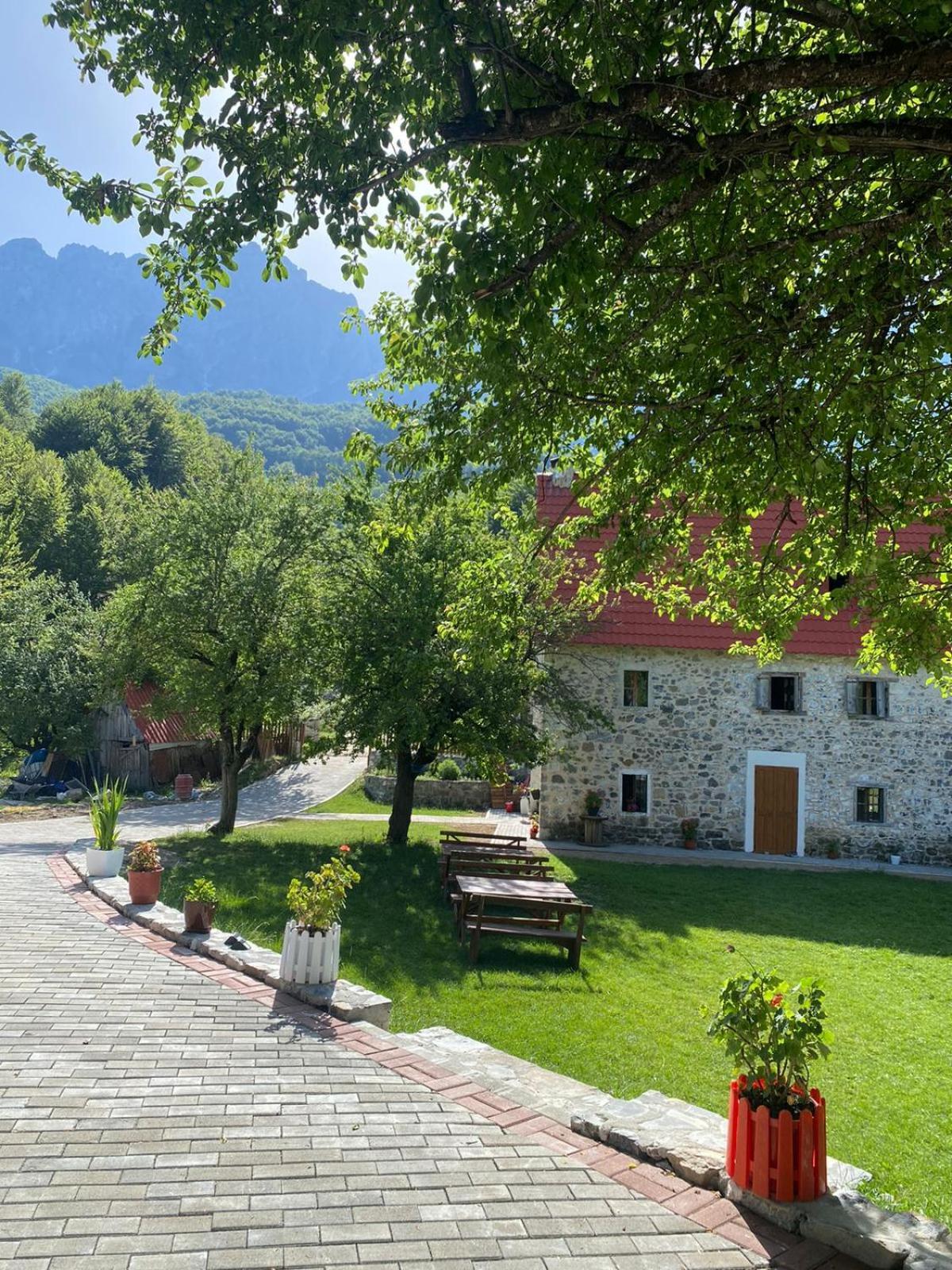 Guesthouse Dritan Tethorja Theth Exterior foto